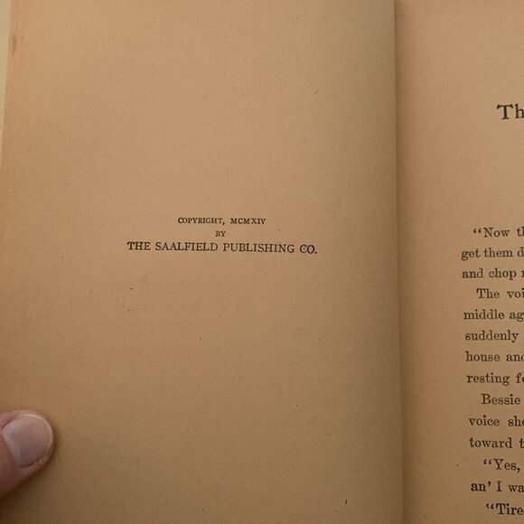 A Campfire Girl’s First Council Fire Jane L. Stewart Saalfield Publishing 1914 - Picture 7 of 16